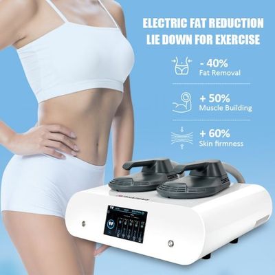 Tesla EMS Beauty Instrument 2 Handles Intensity Pulsed Electromagnetic RF 5000W